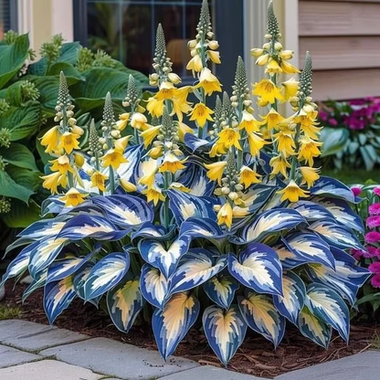 Graines rares de Hosta pour des jardins ombragés luxuriants 💖